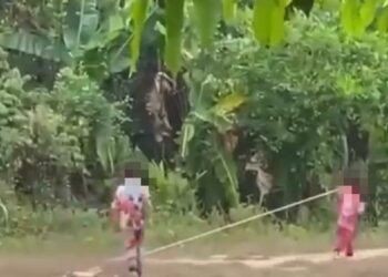 TANGKAP layar video memaparkan dua kanak-kanak didakwa menganiaya seorang kucing.