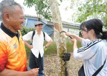 Haruki Sakaguchi diberi tunjuk ajar cara-cara menoreh getah oleh Dr Jaidon Romli sambil diperhatikan rakannya Ko Tanaka pada program pertukaran pelajar di Kampung Sungai Tiram, Ulu Tiram Johor Bahru disini hari ini. UTUSAN/RAJA JAAFAR ALI