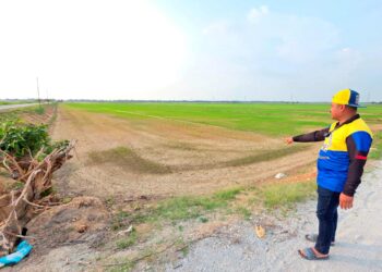 CAPTION
PESAWAH menunjukkan kawasan sawah yang terjejas akibat kekurangan bekalan air susulan musim panas di Seberang Perak, dekat Pasir Salak, semalam. - UTUSAN/AIN SAFRE BIDIN