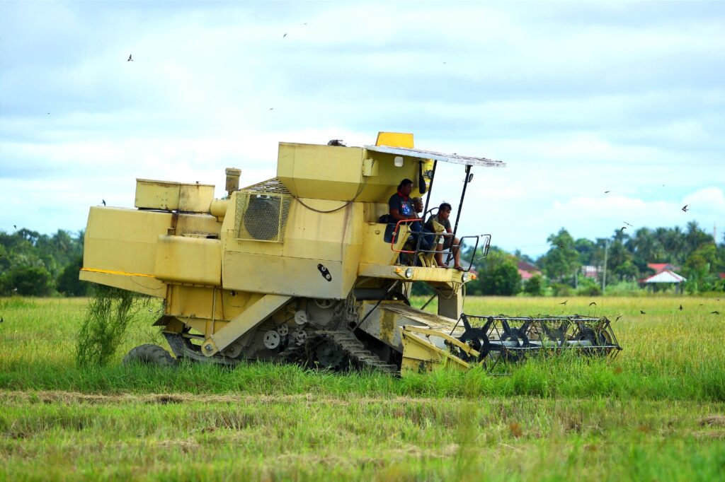 Pesawah di Kelantan ‘berehat’