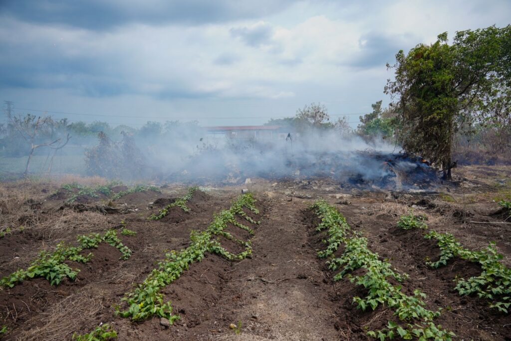 Pembakaran terbuka berleluasa di Selangor jejas 40,000 penduduk