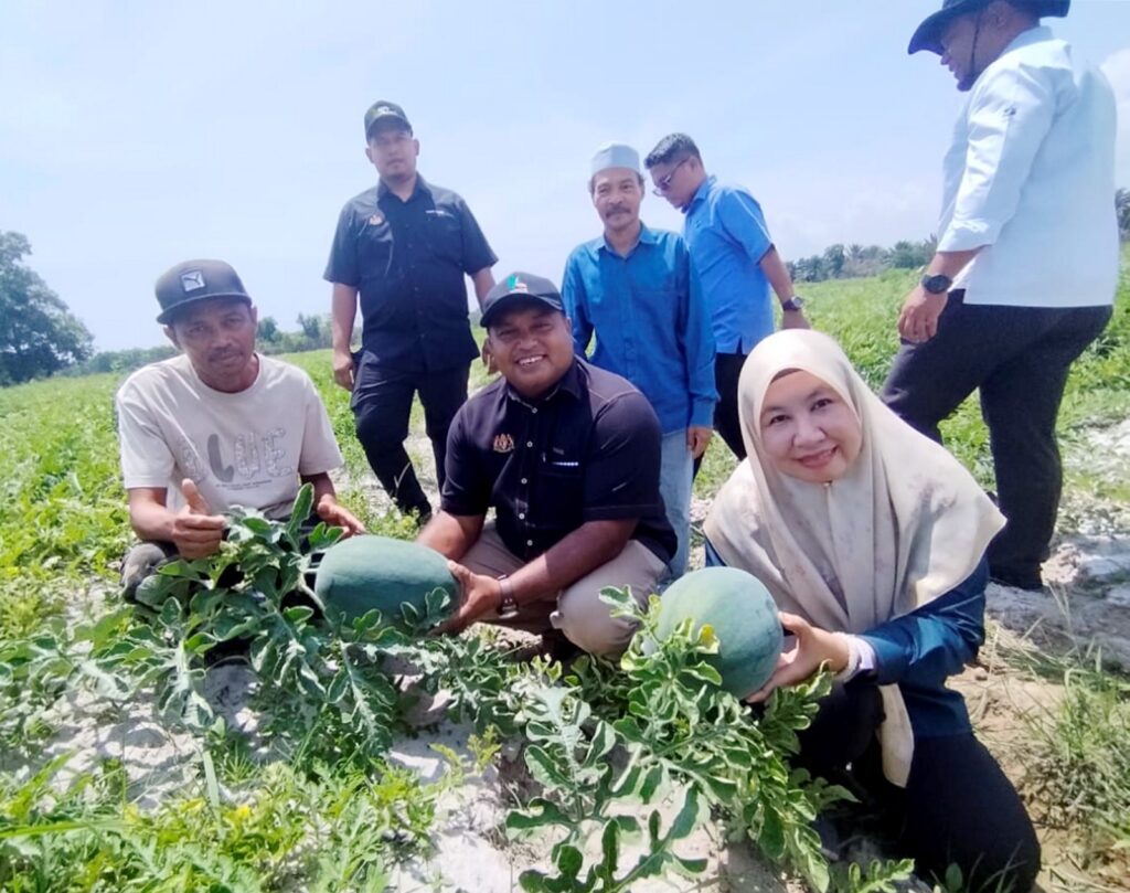 362 tan tembikai dituai di Terengganu