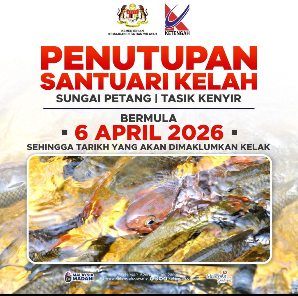 Harga lumayan, sanggup masuk hutan curi ikan kelah