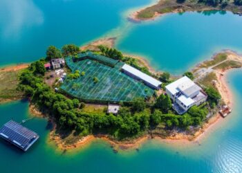 TAMAN Rama-Rama dibiarkan sehingga dipenuhi semak-samun. 
– MINGGUAN/PUQTRA HAIRRY