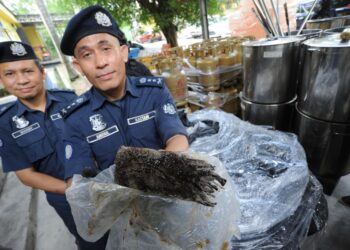 AMINUL Izmeer Mohd. Sohaimi menunjukkan daun ketum yang sudah diproses selepas dua serbuan yang dilakukan JKDM Johor. - UTUSAN/RAJA JAAFAR ALI