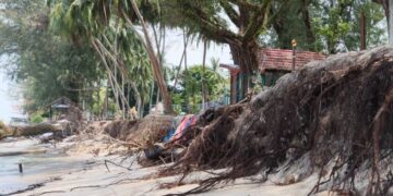 MASALAH hakisan pantai yang berlaku di Batu Ferringhi jika masih berterusan boleh 'mencacatkan' pemandangan kawasan tersebut sebagai pusat peranginan terkenal di Pulau Pinang. - UTUSAN/DANIAL SAAD
