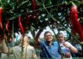 AKMAL Nasrullah Mohd Nasir memetik cili semasa melawat ladang cili di bawah IPR-INTAN di Putrajaya. - UTUSAN/FAISOL MUSTAFA
