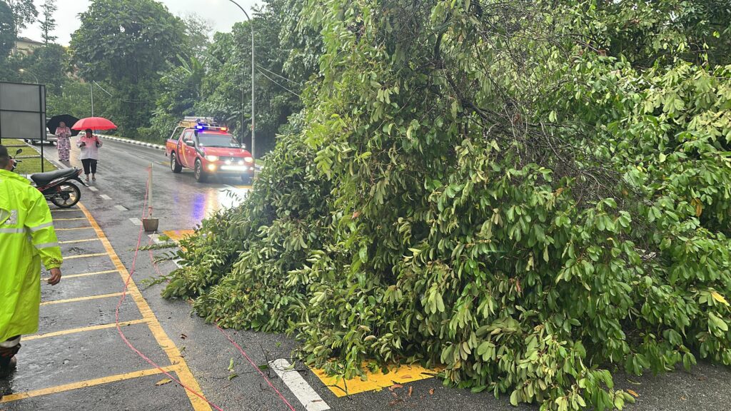 Hujan lebat: Pokok tumbang di sekitar Selangor