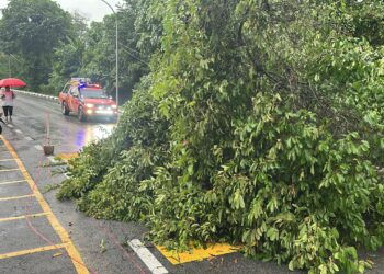 ANGGOTA Bomba tiba untuk membersihkan kawasan pokok tumbang di sekitar jalan Sekolah Menengah Kebangsaan (SMK) Ideal Height, Selayang, hari ini.