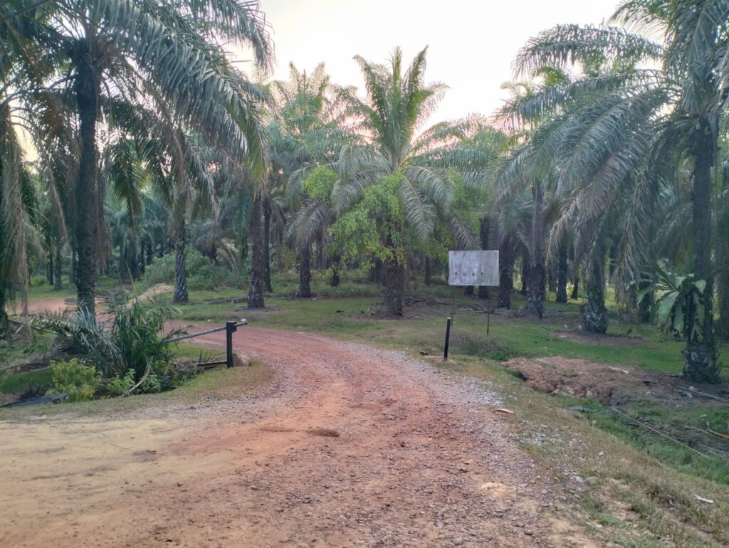 Warga tempatan, Thailand diburu polis bantu siasatan kes tembak penternak lembu