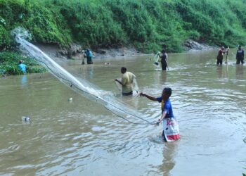 ORANG ramai mengambil peluang menjala ikan di Sungai Muar, Kampung Sawah Lebar di Kuala Pilah susulan pembukaan pintu Empangan Kubang Rusa, Kuala Pilah baru-baru ini. -UTUSAN / NOR SHAFIQAH MOHD GHAZALI