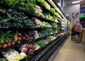 SAYUR-sayuran dijual di sebuah pasar raya di Florida. - AFP