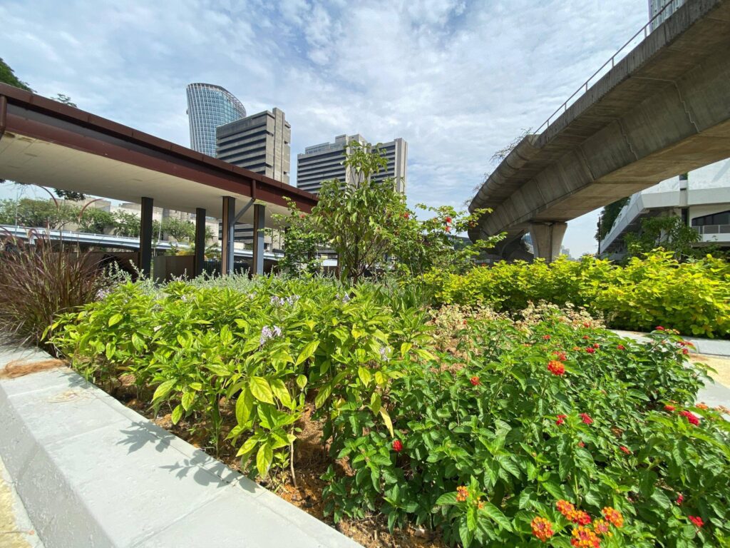 DBKL perhebat usaha hijaukan Kuala Lumpur