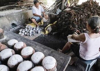 PROSES pembuatan asin tibuok kekal hampir tidak berubah selama berabad lamanya. – AGENSI