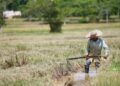 PESAWAH merupakan golongan yang berdepan pelbagai kepayahan meskipun mereka tulang belakang kepada industri padi dan beras negara. - UTUSAN/SHAHIR NOORDIN