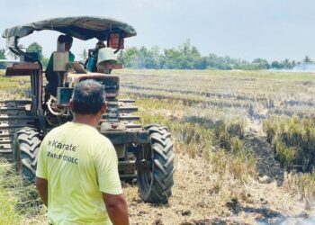 PENGUSAHA jentera pertanian yang juga pesawah, Abdul Manaf Don, 63, memerhatikan pembantunya melakukan kerja pembajakan di sawah miliknya di Tok Keling, Alor Setar.
