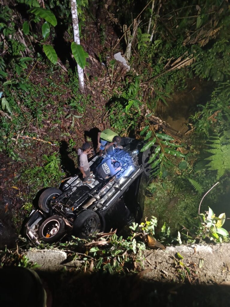 Lelaki maut, isteri anak cedera kereta jatuh gaung