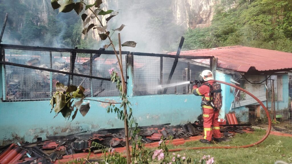 10 kucing mati dalam kebakaran rumah perlindungan haiwan