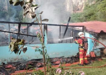 ANGGOTA bomba memadam kebakaran rumah perlindungan haiwan di Simpang Pulai, Ipoh hari ini yang menyebabkan 10 ekor kucing mati. - GAMBAR IHSAN JBPM PERAK