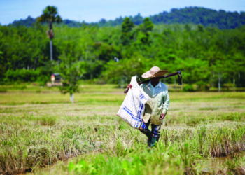 KEBANYAKAN pesawah tidak berminat dengan cadangan MADA agar melaksanakan kaedah tabur terus kering yang dianggap tidak berbaloi dengan hasil bakal diperoleh. - UTUSAN/SHAHIR NOORDIN