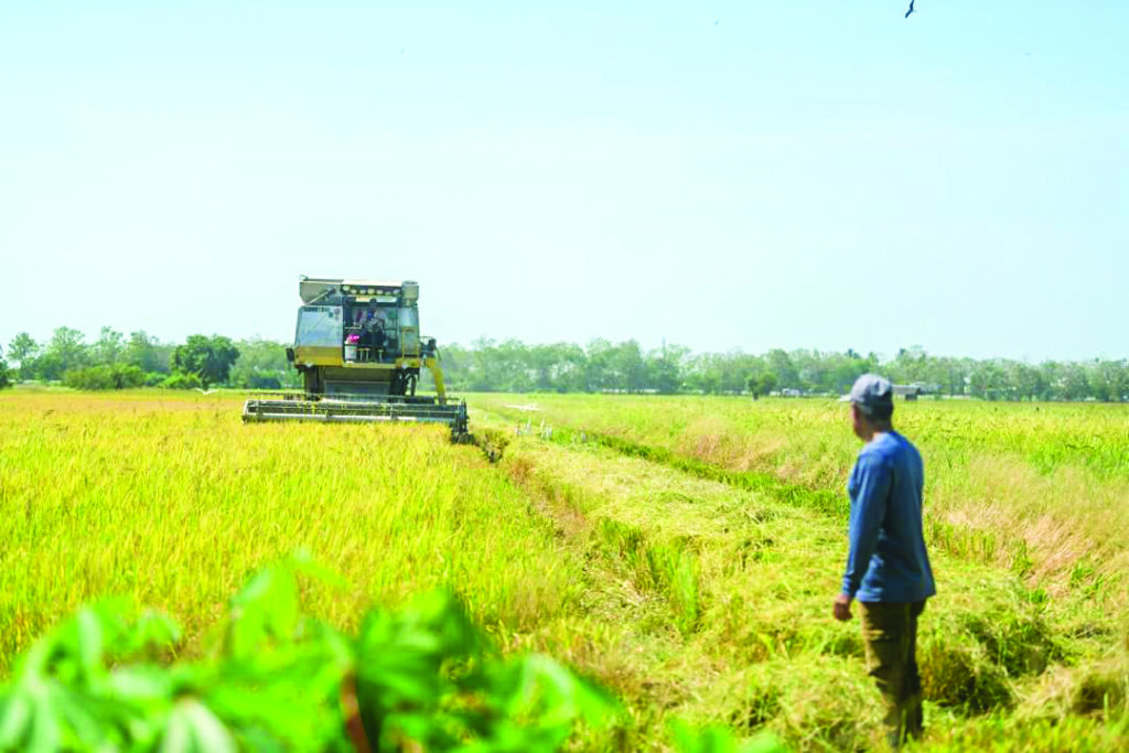Pesawah teruskan tanaman, bayaran insentif kurangkan beban