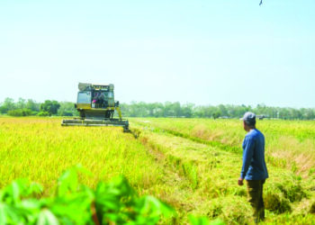 PESAWAH dijangka meneruskan tanaman padi musim ini selepas hujan mula turun dengan lebat di Perlis kebelakangan ini.-UTUSAN