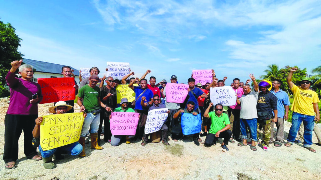 200,000 pesawah terpaksa ‘bercuti’, desak kerajaan tangani isu diesel
