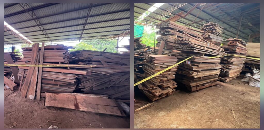 PGA serbu kilang kayu haram di Pasir Mas