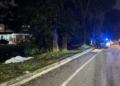 Dua beradik maut dilanggar SUV