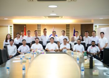Pemuda DAP (DAPSY)
