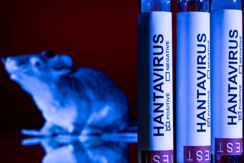 Dunia perlu bersedia hadapi peningkatan kes hantavirus – WHO