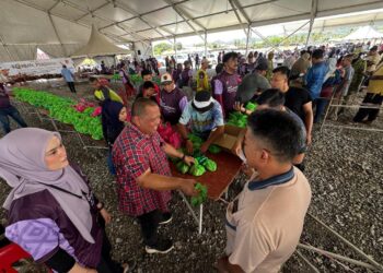 ABU Bakar Hamzah mengagihkan daging korban kepada penduduk bersempena program korban perdana DUN Kuala Perlis di Dataran Lok 9, Kuala Perlis hari ini.-UTUSAN