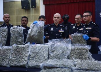 SHAZELI Kahar menunjukkan salah satu daripada 254 ketulan mampat bunga ganja yang dirampas di Terminal 1 KLIA di IPK Selangor, Shah Alam, Selangor, semalam. – UTUSAN/AFIQ RAZALI