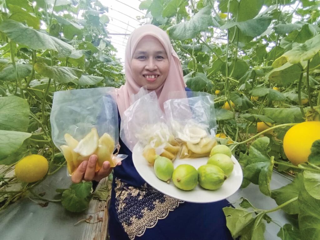 Putik melon terbuang jadi jeruk