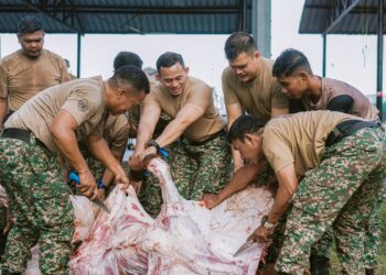 Anggota tentera  melapah lembu pada Majlis Ibadah Korban Perdana Tentera Darat  2026M/1447H di Kem Perdana Sungai Besi, Kuala Lumpur, semalam. – UTUSAN/ISKANDAR ISHAk
