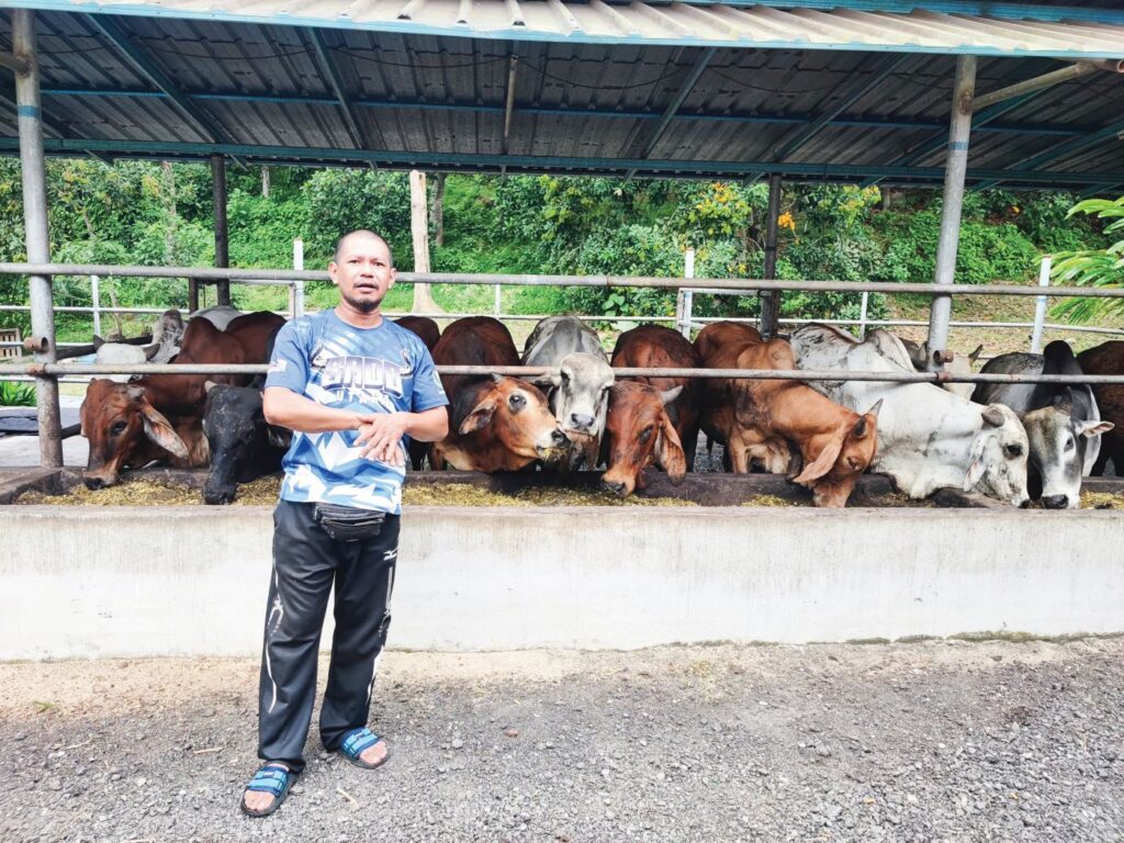 Lembu Thailand punca tempahan korban merosot