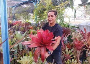 AHMAD Tarmizi Salleh bersama sebahagian koleksi pokok bromeliad yang terdapat di rumahnya di Kampung Telaga Batin, Kuala Nerus, Terengganu. – UTUSAN/ERMA YUSNIDA JUSOH