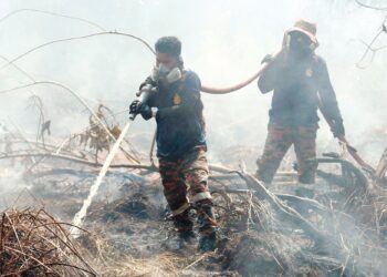 MOHD. Sharizan Muhammad (kiri) melakukan kerja-kerja memadam kebakaran hutan di Kampung Baru Kuala Abang, Dungun, Terengganu sejak 23 April lalu. – UTUSAN/PUQTRA HAIRRY