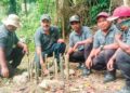 DR. MUHAMMAD Hakim Abdullah (dua dari kiri) menunjukkan cendawan susu rimau yang ditanam pada tahun 2024 dan kini menjadi induk utama projek Myco-Restoration Cendawan Susu Rimau di Hutan Simpan Piah, Lenggong. – UTUSAN/WAT KAMAL ABAS