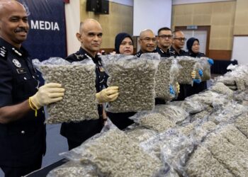 SHAZELI Kahar (dua, kiri) menunjukkan ketulan mampat bunga ganja dirampas dalam tiga serbuan di KLIA dan Kota Warisan pada sidang akhbar di Ibu pejabat Polis Kontinjen Selangor, Shah Alam, semalam. 
– UTUSAN/AFIQ RAZALI
