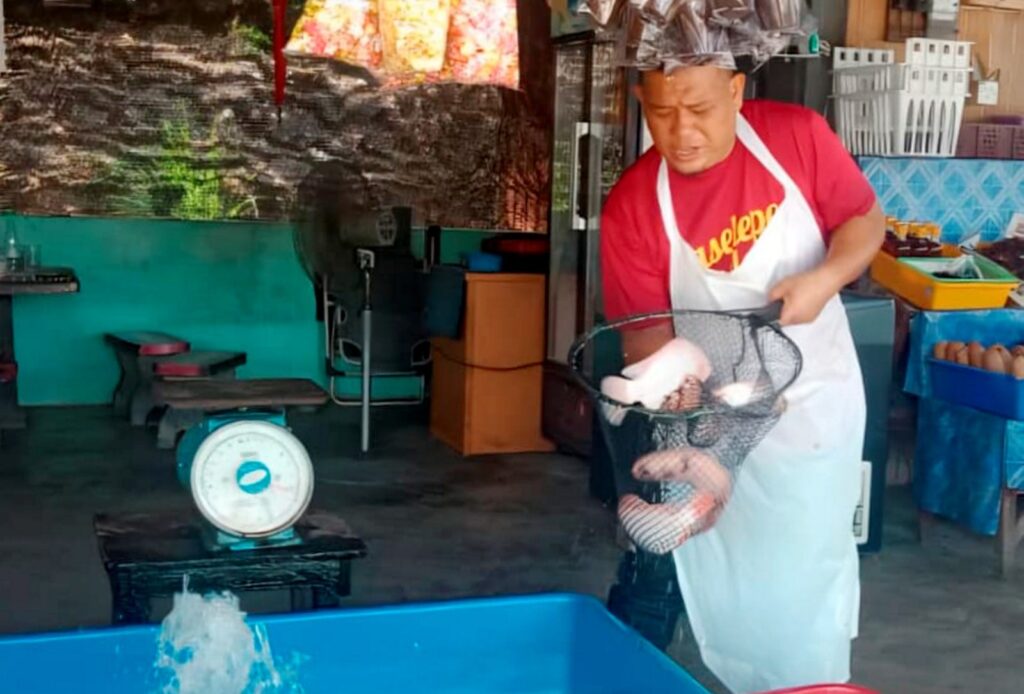 Makanan ternakan naik, peniaga dilema tetapkan harga ikan sangkar