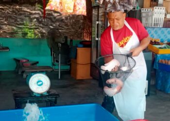 MOHD. Ali Mat Isa menunjukkan ikan tilapia yang dijual pada harga RM22 sekilogram walaupun kos pengurusan meningkat akibat kenaikan harga diesel di Kampung Jerantut Feri di Jerantut, Pahang. – UTUSAN/HARIS FADILAH AHMAD