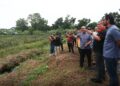 Diesel pesawah