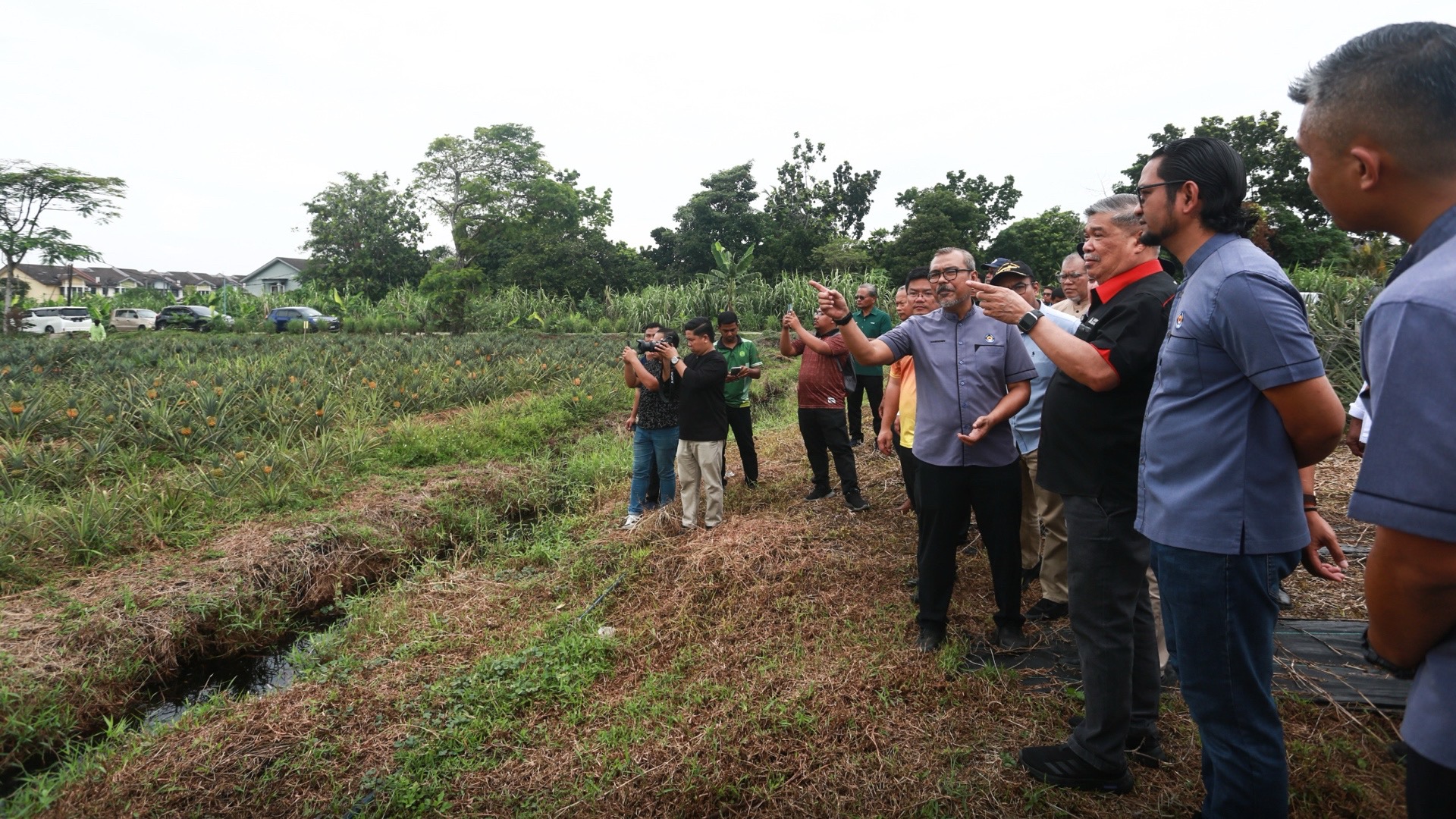 Diesel pesawah