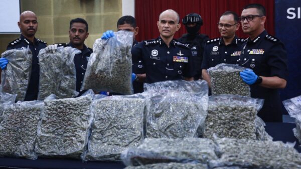 Bunga ganja KLIA