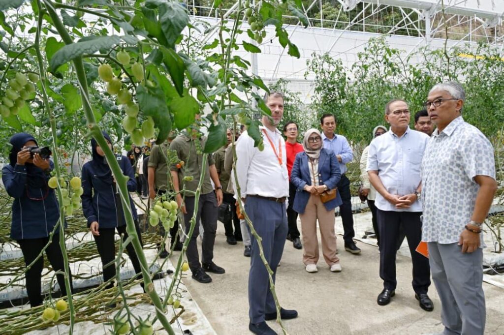 Pekebun, petani rumah hijau digalak tanam tanpa racun serangga