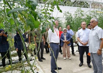 AL-SULTAN Abdullah Ri’ayatuddin Al-Mustafa Billah Shah (kanan) berkenan bercemar duli berangkat melawat Agropark, Program Dutch Trade Mission to Malaysia di tapak Rumah Hijau Fasa 1 di Tringkap di Cameron Highlands, Pahang.