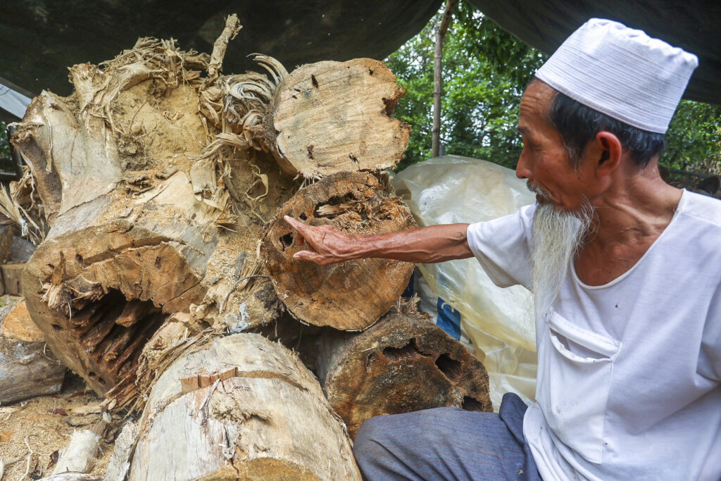 Lanun rimba kikis ‘emas hutan’