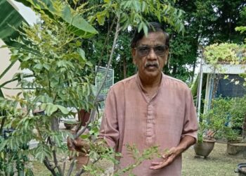 N.V Subbarow menggesa pengguna menanam sendiri pokok kari susulan kenaikan harga bahan tersebut di pasaran ketika ini.