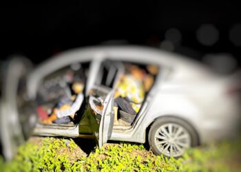 SEBAHAGIAN PATI yang ditahan PGA selepas masuk ke negara ini secara haram di Pengkalan Kubor, Tumpat, Kelantan.